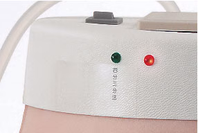 Intramuscular Injection Model of Buttocks, Light