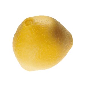 Model of Hazelnut Pollen Grain