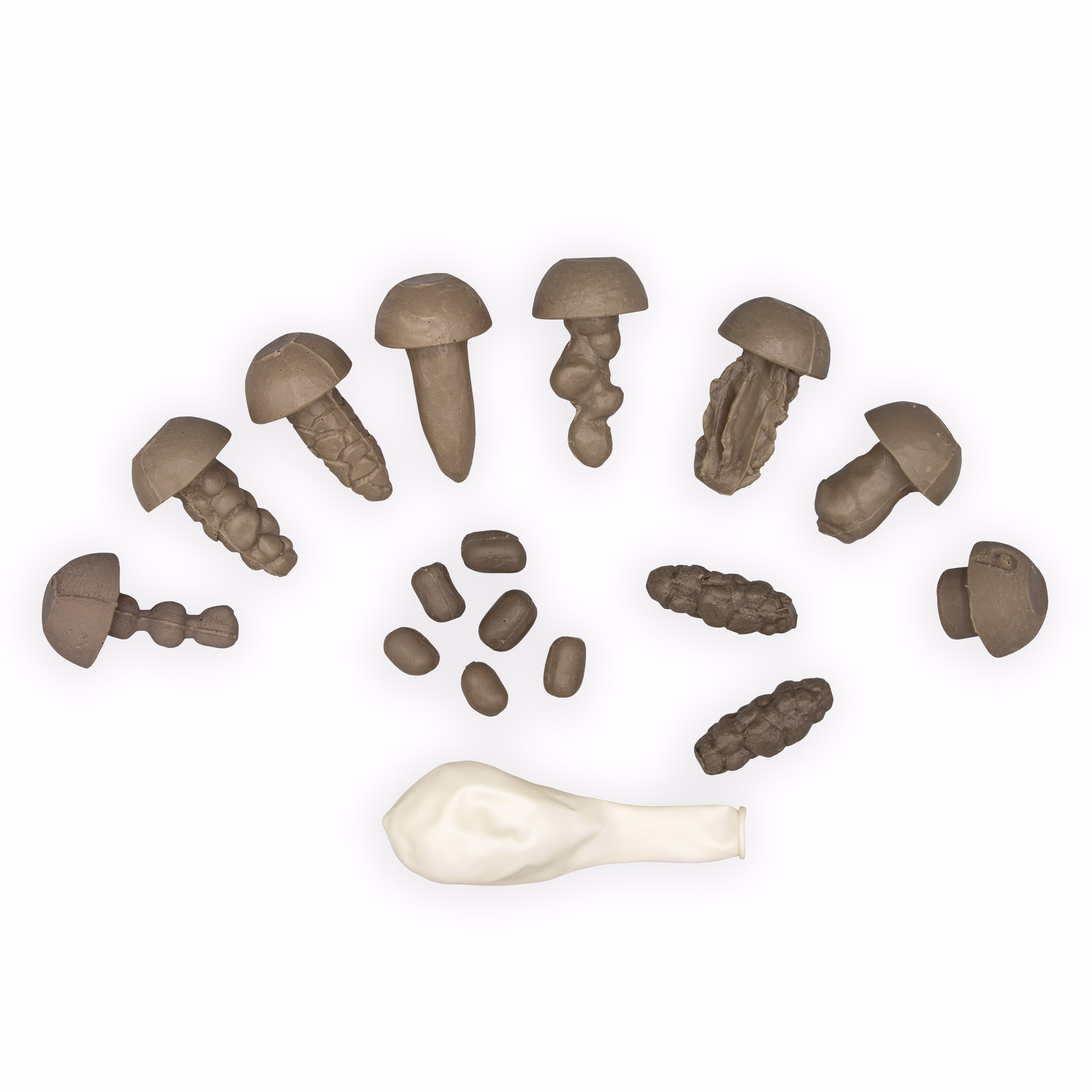 Set of Simulated Stools