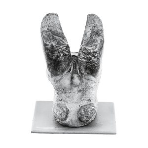 Cow's Hoof With Foot Disease