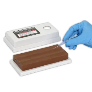 Two Vein Venepuncture Training Aid, Dark