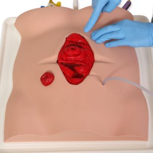 Freddie Fistula Skills Trainer, Light