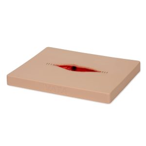 Dehisced Wound Board, Light