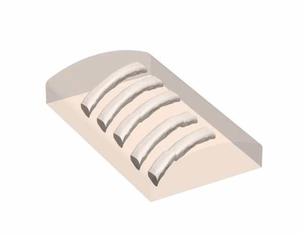 Ultrasound Phantom - Bone Fracture, Light