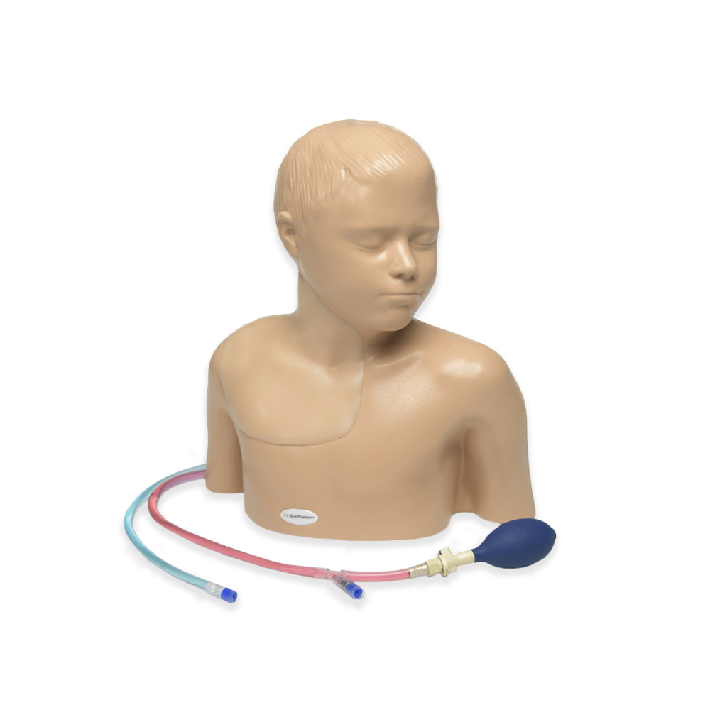 Paediatric Regional Anaesthesia and Central Line Ultrasound Training Model