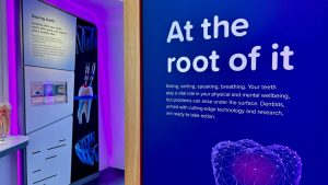 National Toothache Day – how Adam,Rouilly Models are helping raise awareness to improve patient outcomes in oral hygiene