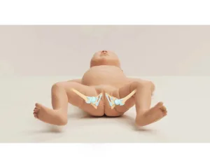 Infant Hip Examination Trainer, Dark