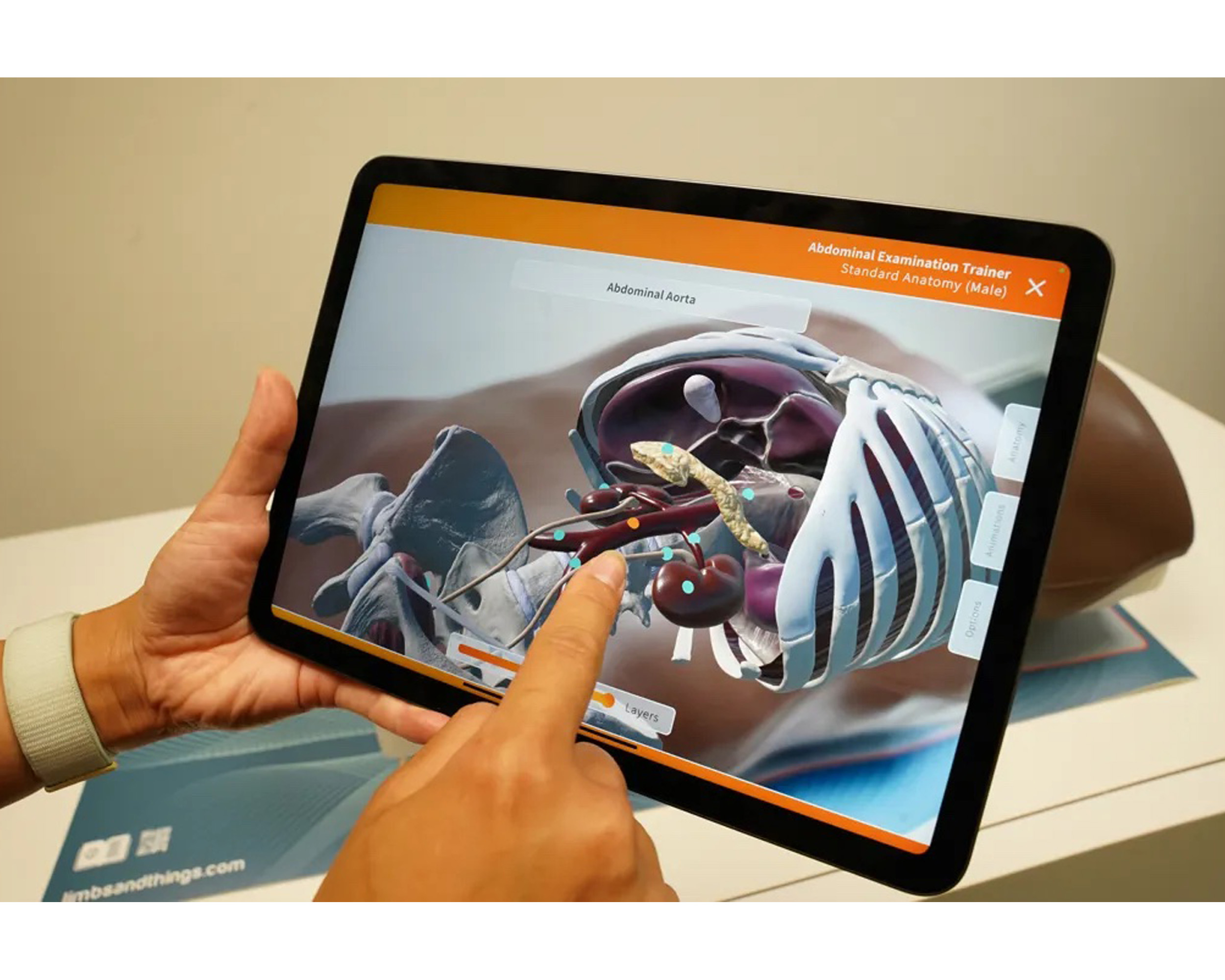 ART Mat for Abdominal Examination