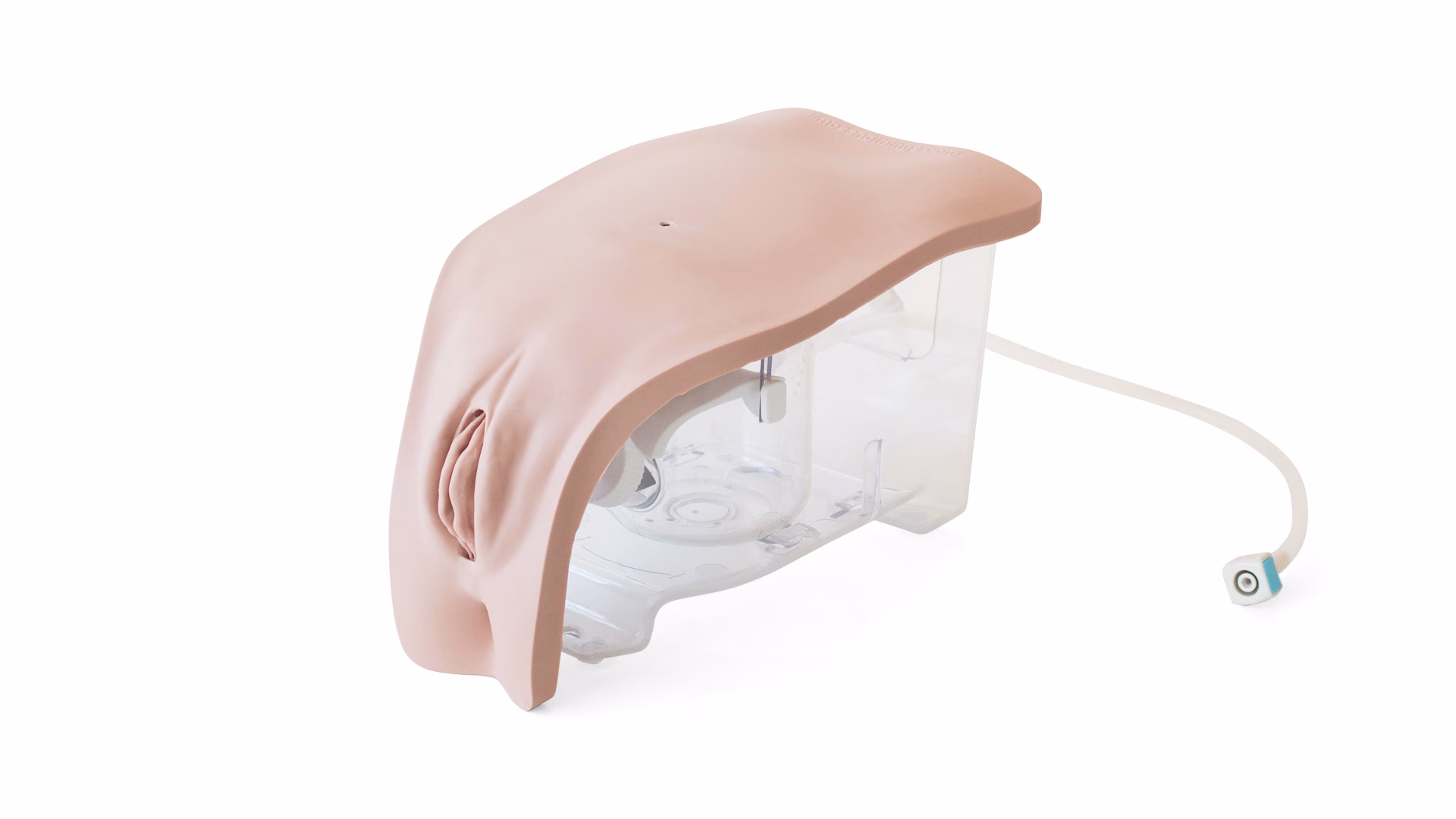 Female Catheterisation Module, Light