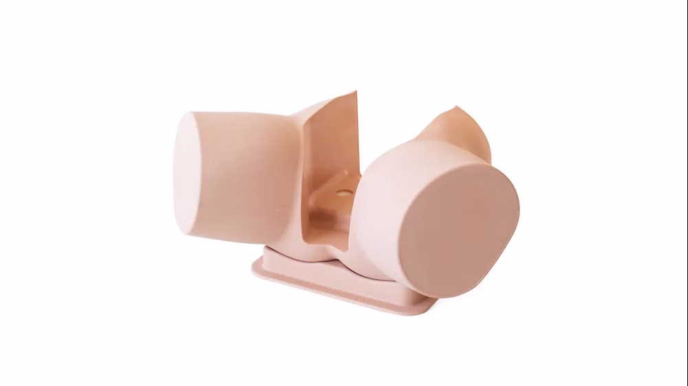 Pelvic Shell & Stand, Light