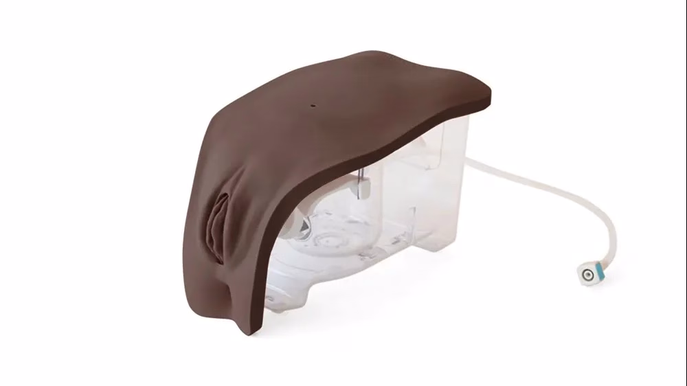 Female Catheterisation Module, Dark