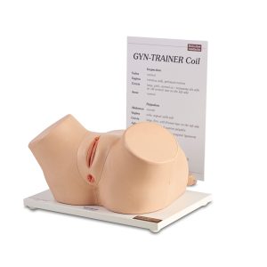 Schultes Gyn Trainer Coil