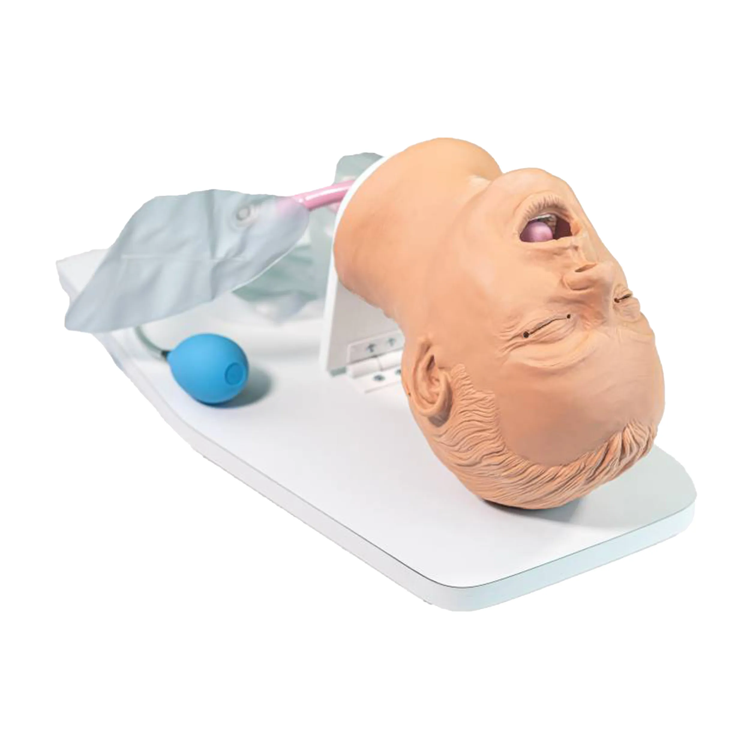 Airway Larry Trainer, Light