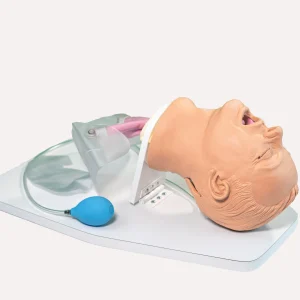 AN3550 Airway Larry Trainer, Light