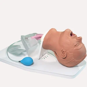 AN3550M Airway Larry Trainer, Medium