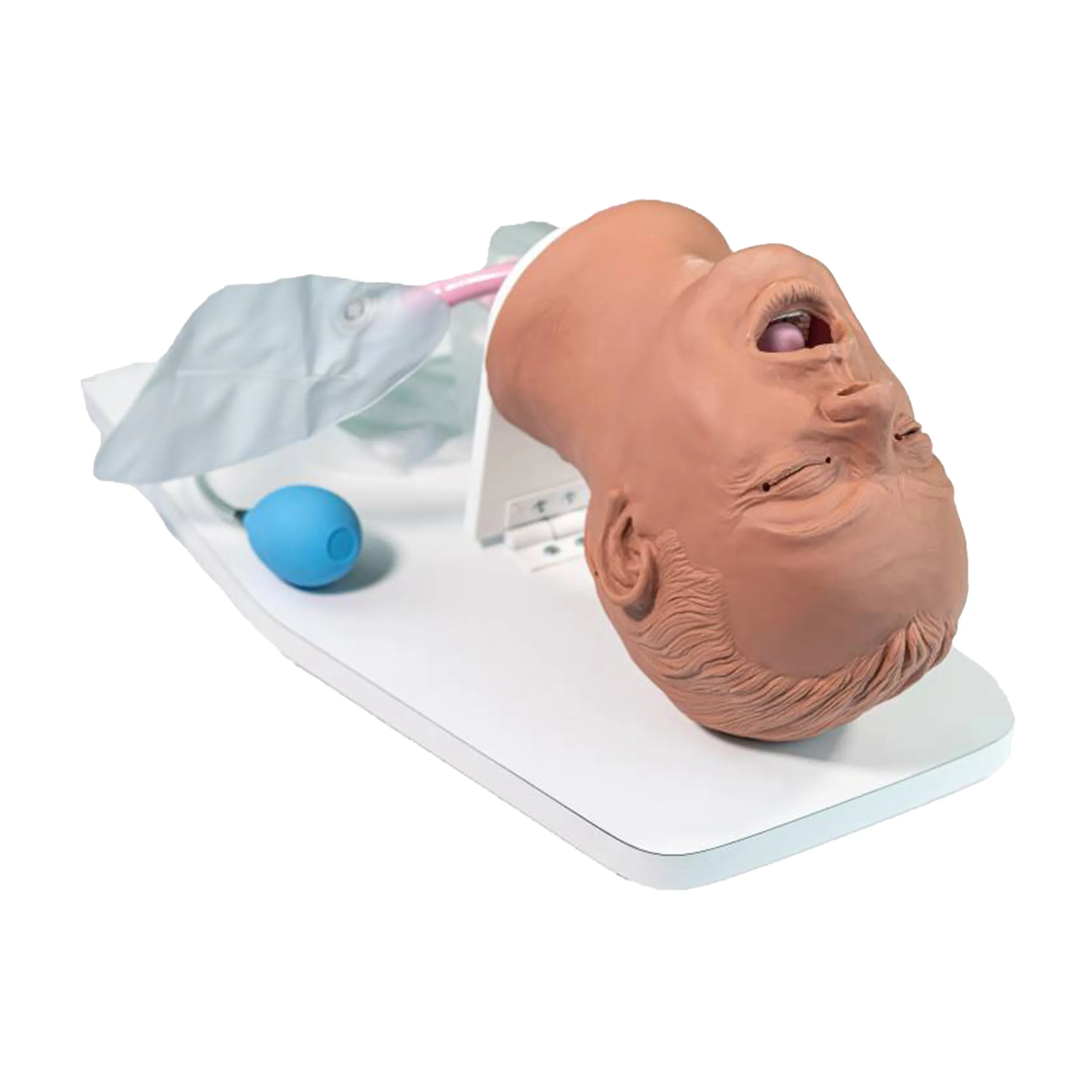 Airway Larry Trainer, Medium