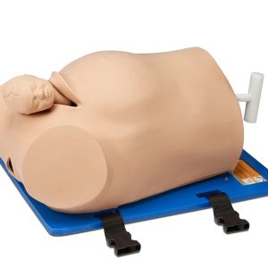 Debra Enhanced® - Impacted Fetal Head Simulator, Light