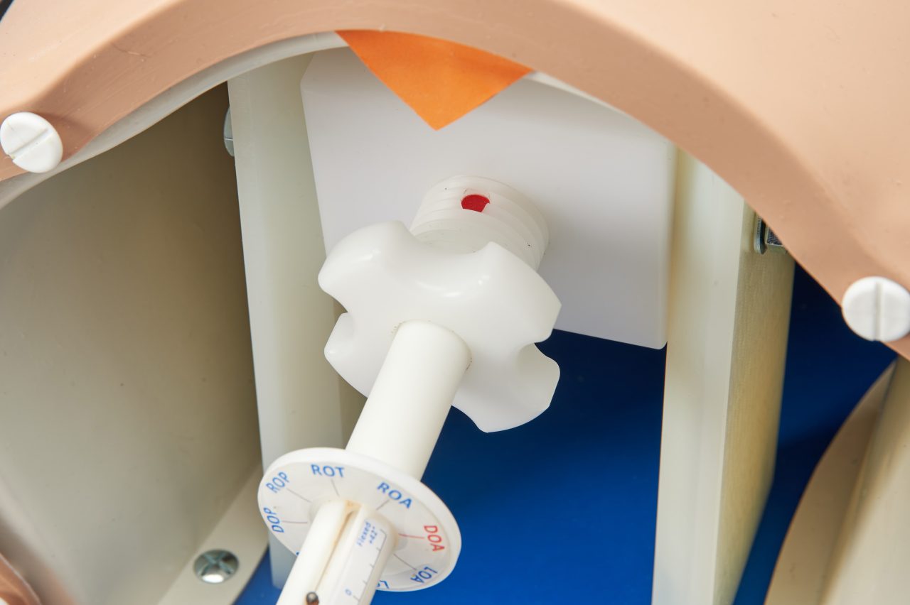 Debra Enhanced® - Impacted Fetal Head Simulator, Light
