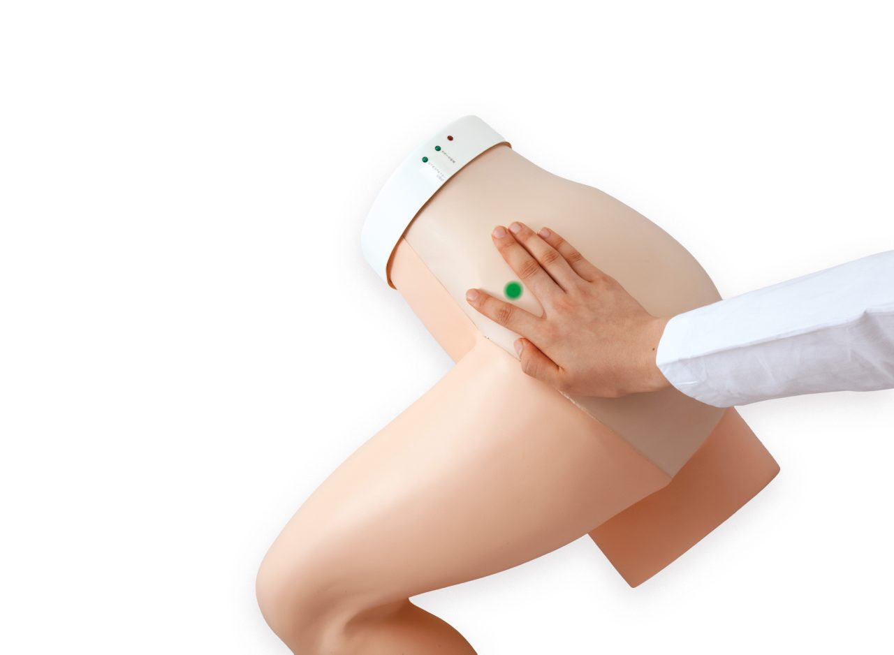 Gluteus Injection Trainer - Lateral Recumbent Model, Light