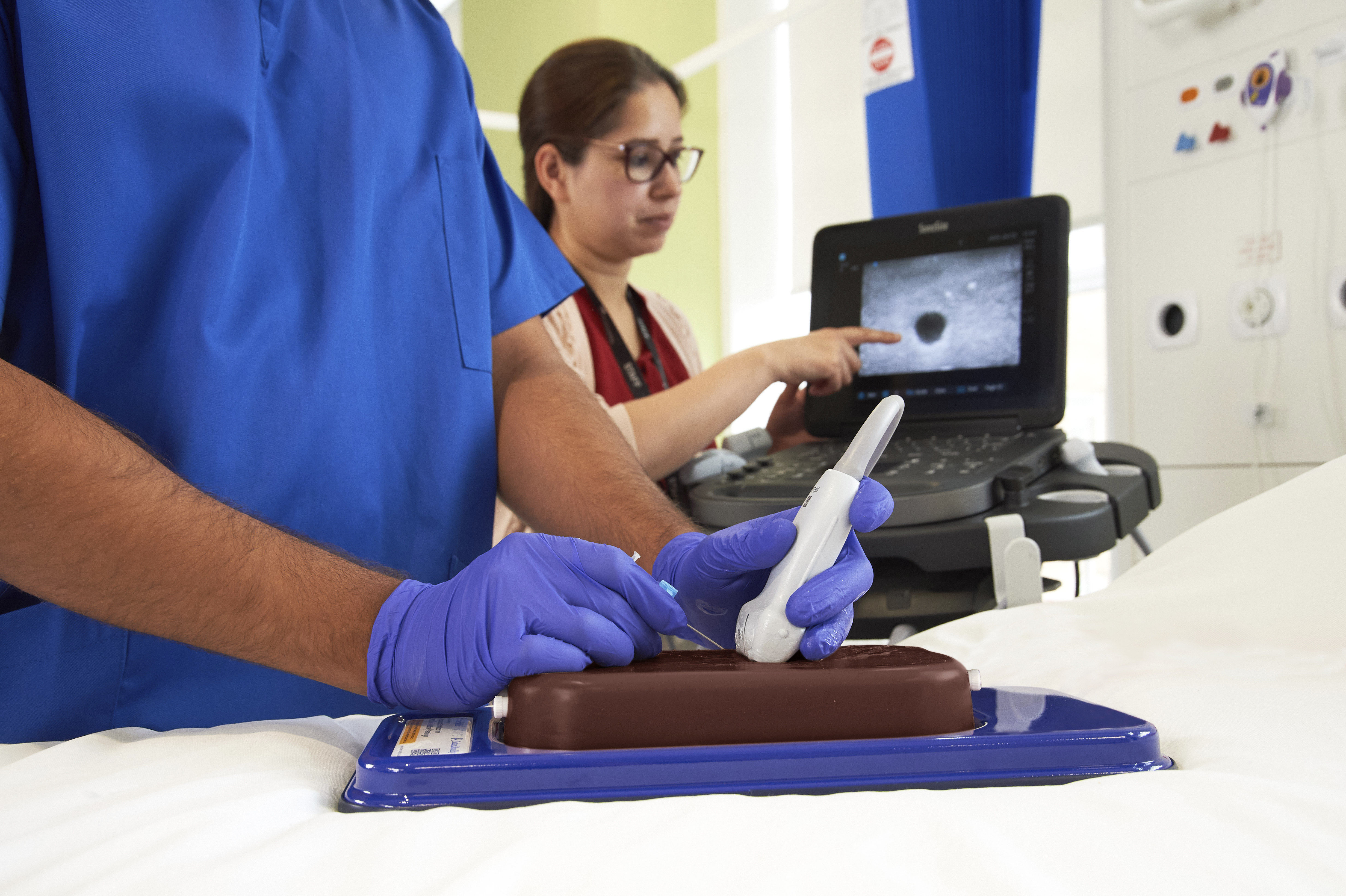 Ultrasound Simulator with 2 Branched Veins, Dark