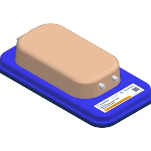 Ultrasound Simulator with 2 Branched Veins, Light