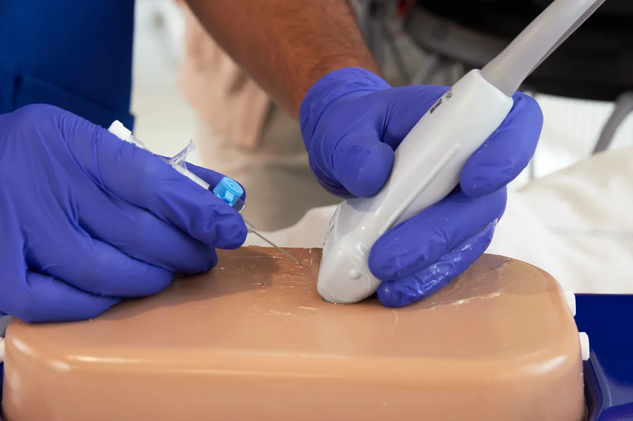 Ultrasound Simulator with 2 Branched Veins, Light