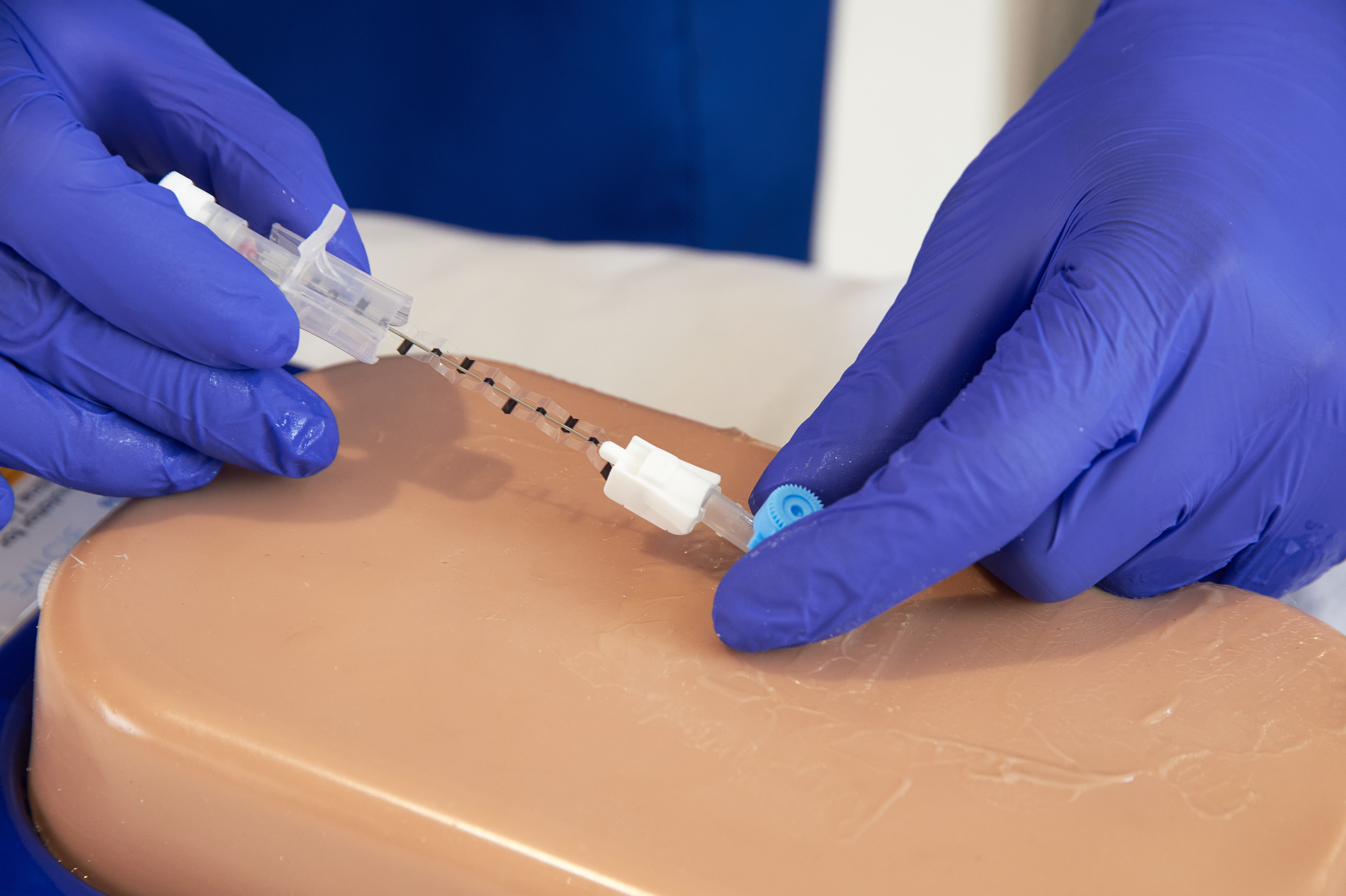 Ultrasound Simulator with 2 Branched Veins, Light