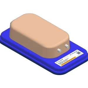 Ultrasound Simulator for Seldinger Technique, Light