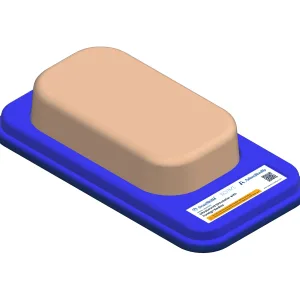 Ultrasound Simulator with Foreign Bodies, Light