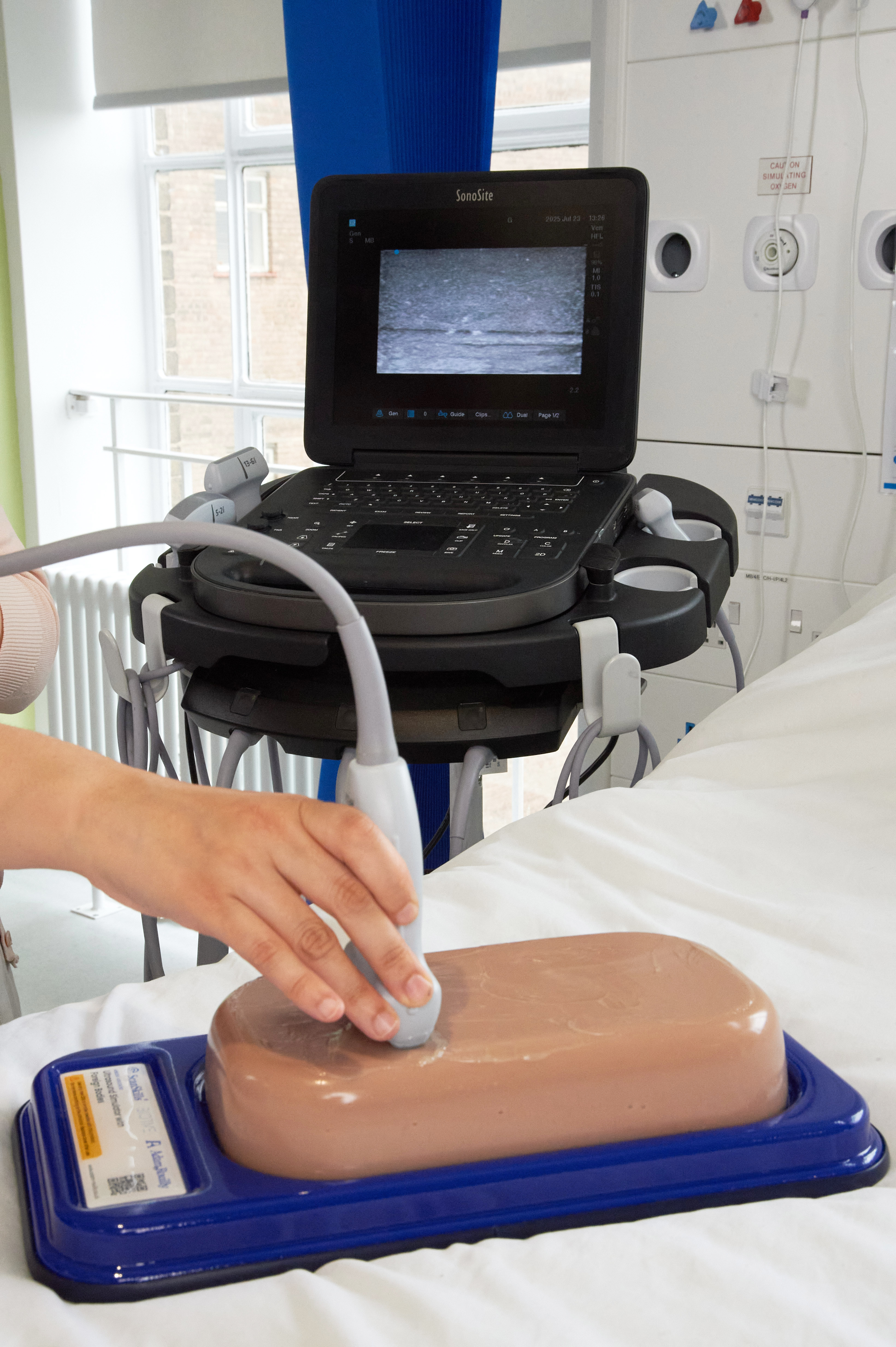 Ultrasound Simulator with Foreign Bodies, Light