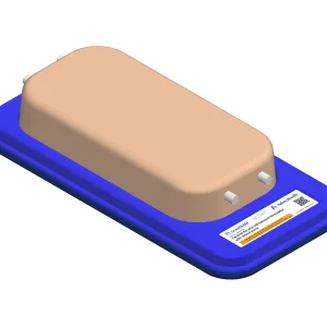 Central Access Ultrasound Simulator with Aneurysms, Light