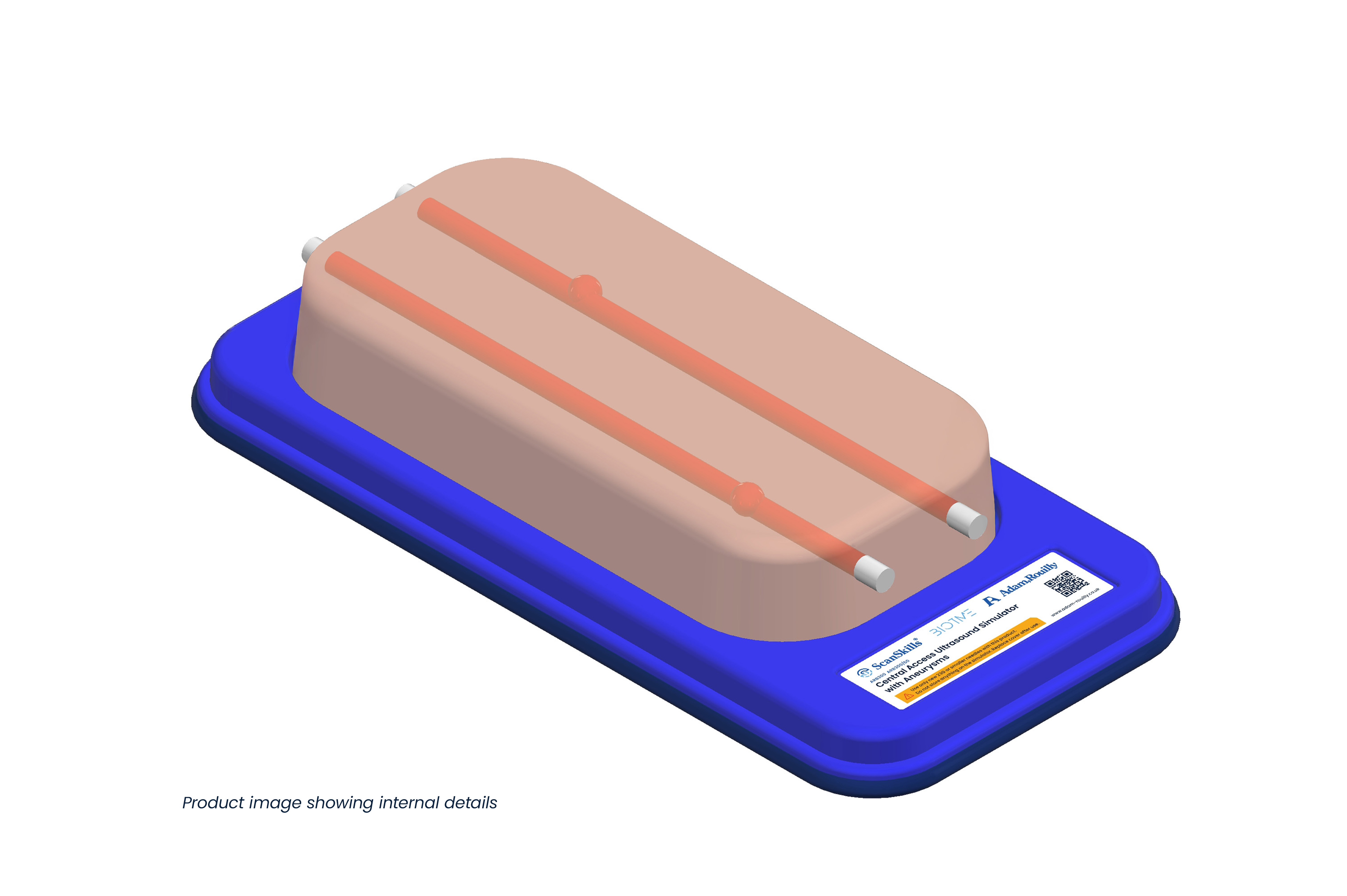 Central Access Ultrasound Simulator with Aneurysms, Light