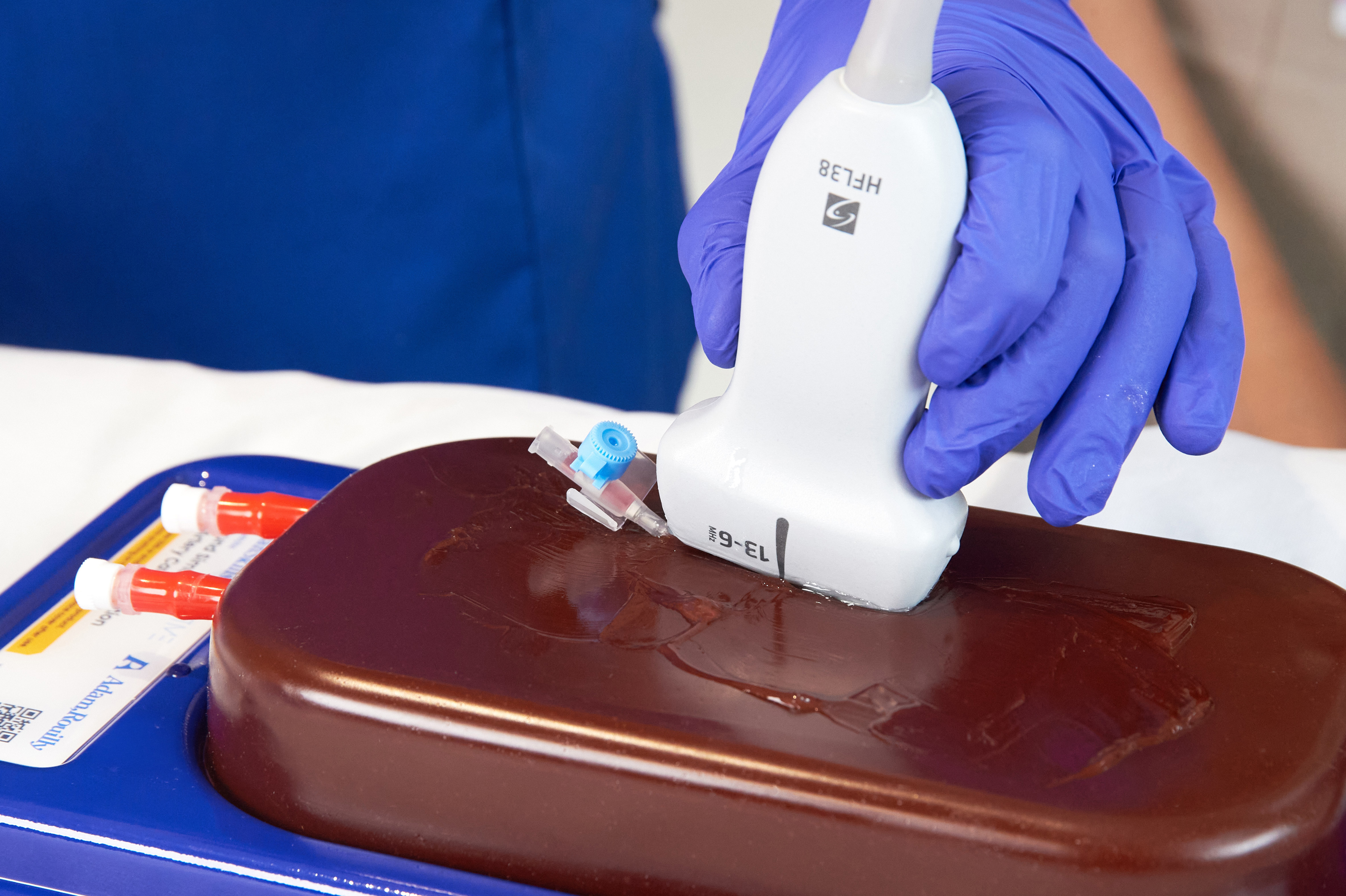 Central Access Ultrasound Simulator with Aneurysms, Dark