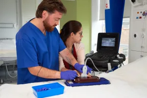 Central Access Ultrasound Simulator with Calcifications, Dark
