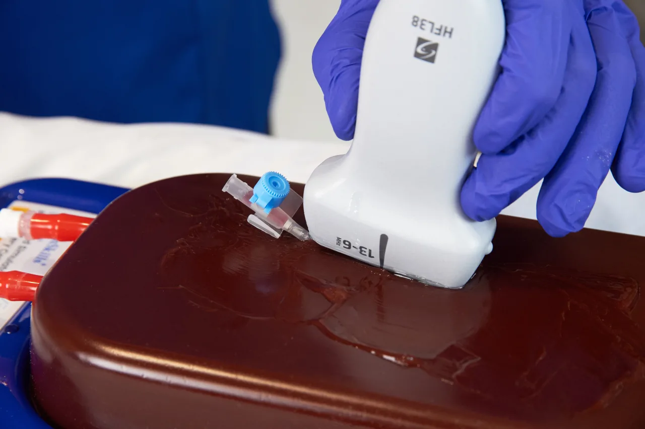 Central Access Ultrasound Simulator with Calcifications, Dark