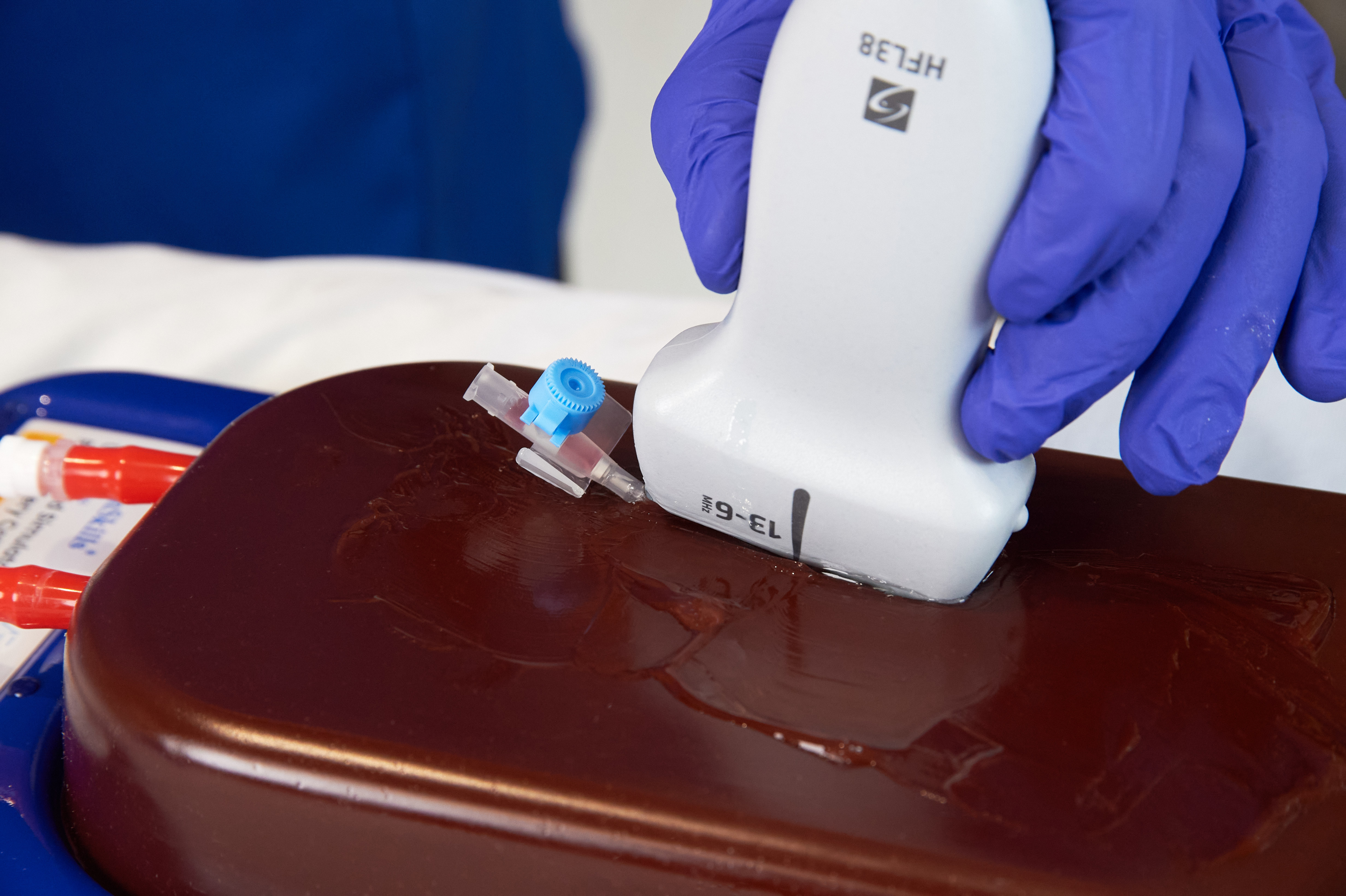 Central Access Ultrasound Simulator with Calcifications, Dark