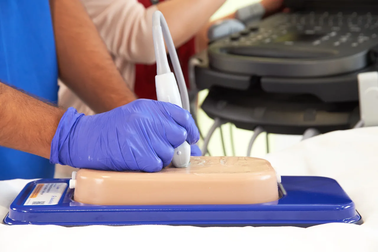 Central Access Ultrasound Simulator with Calcifications, Light