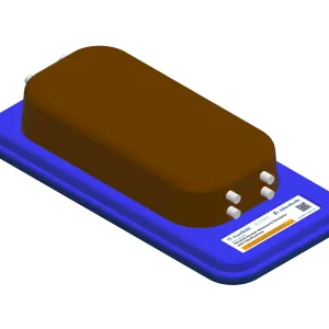 Femoral Access Ultrasound Simulator with Calcifications, Dark