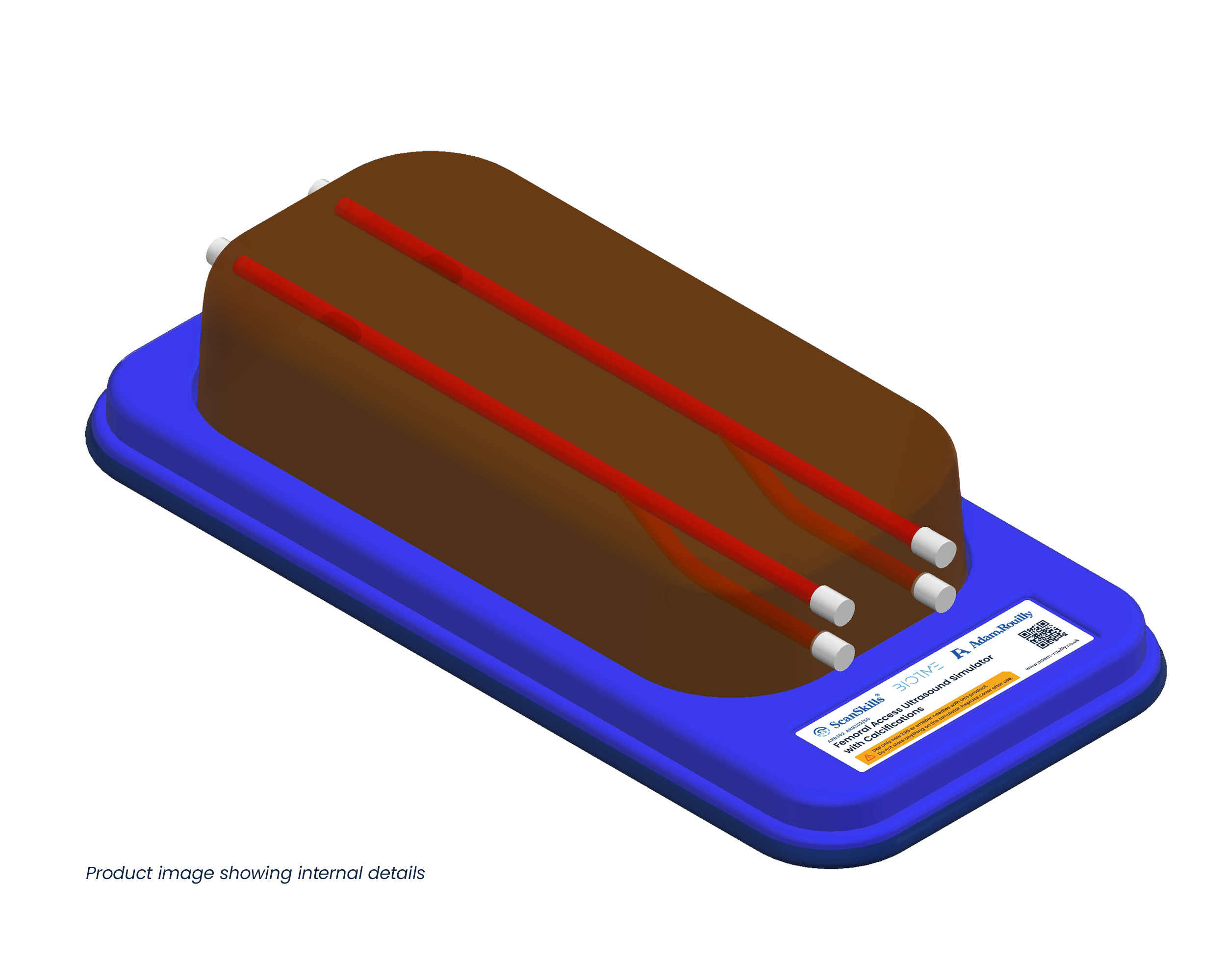 Femoral Access Ultrasound Simulator with Calcifications, Dark