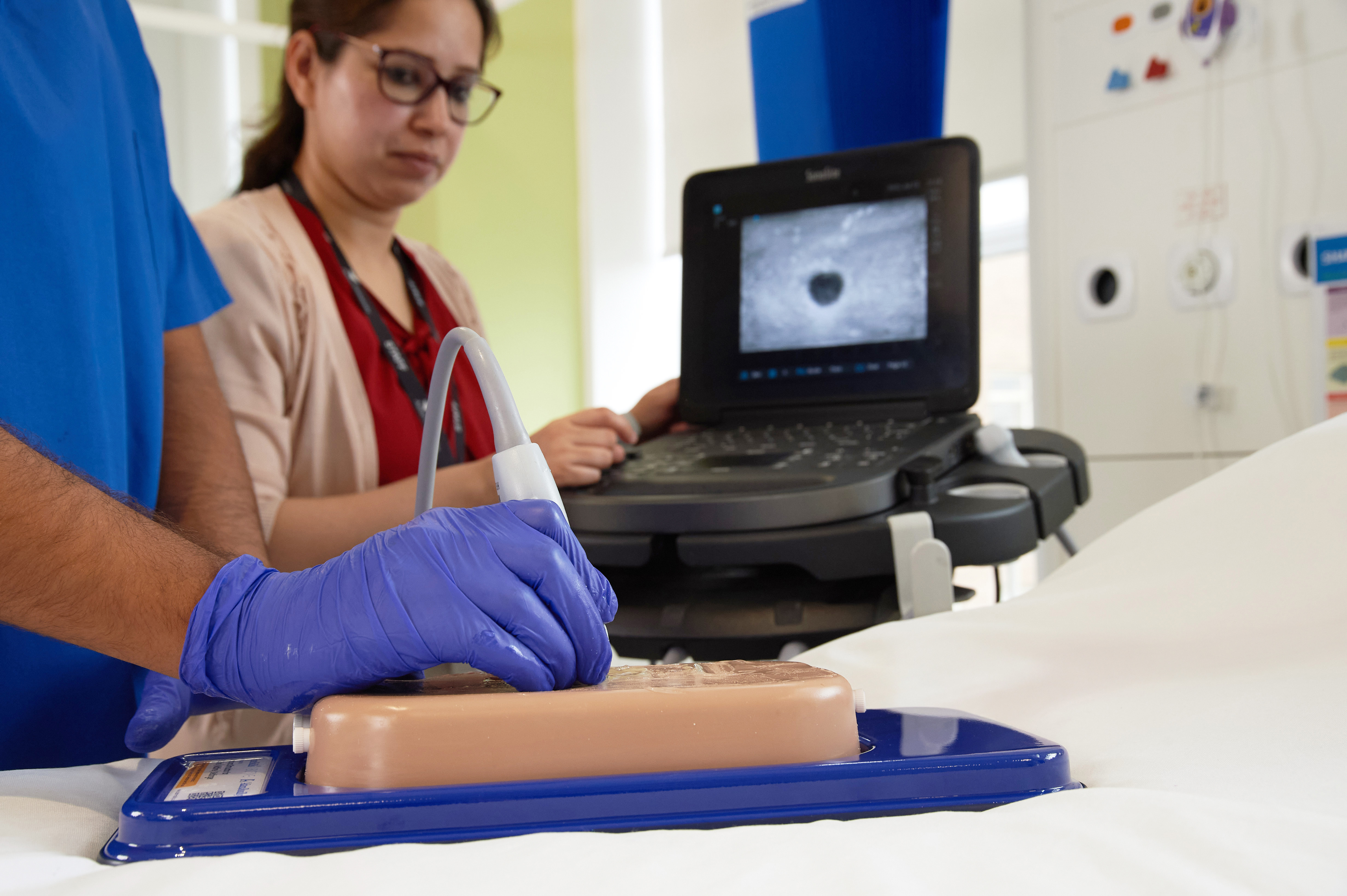 Femoral Access Ultrasound Simulator with Calcifications, Light