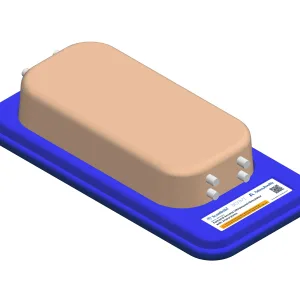 Femoral Access Ultrasound Simulator with Aneurysms, Light
