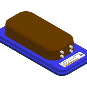 Femoral Access Ultrasound Simulator with Aneurysms, Dark