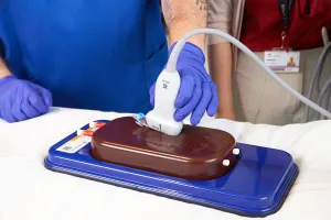 Femoral Access Ultrasound Simulator with Aneurysms, Dark