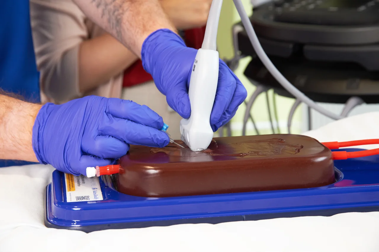 Ultrasound Simulator for Radial Artery Catheterisation, Dark