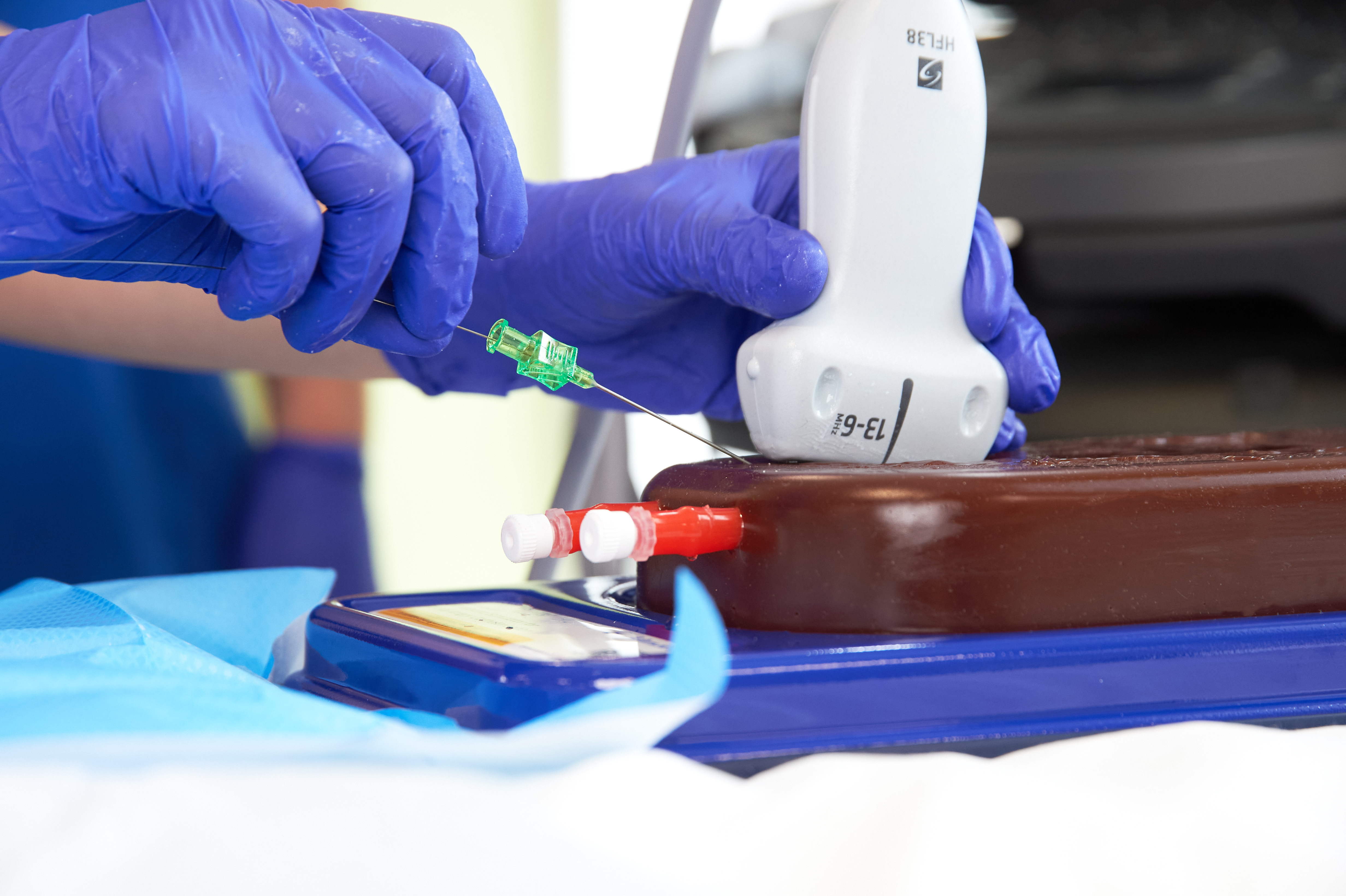 Ultrasound Simulator for Radial Artery Catheterisation, Dark