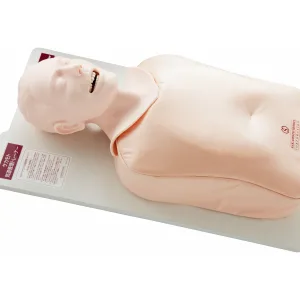 Airway Management Trainer, Light