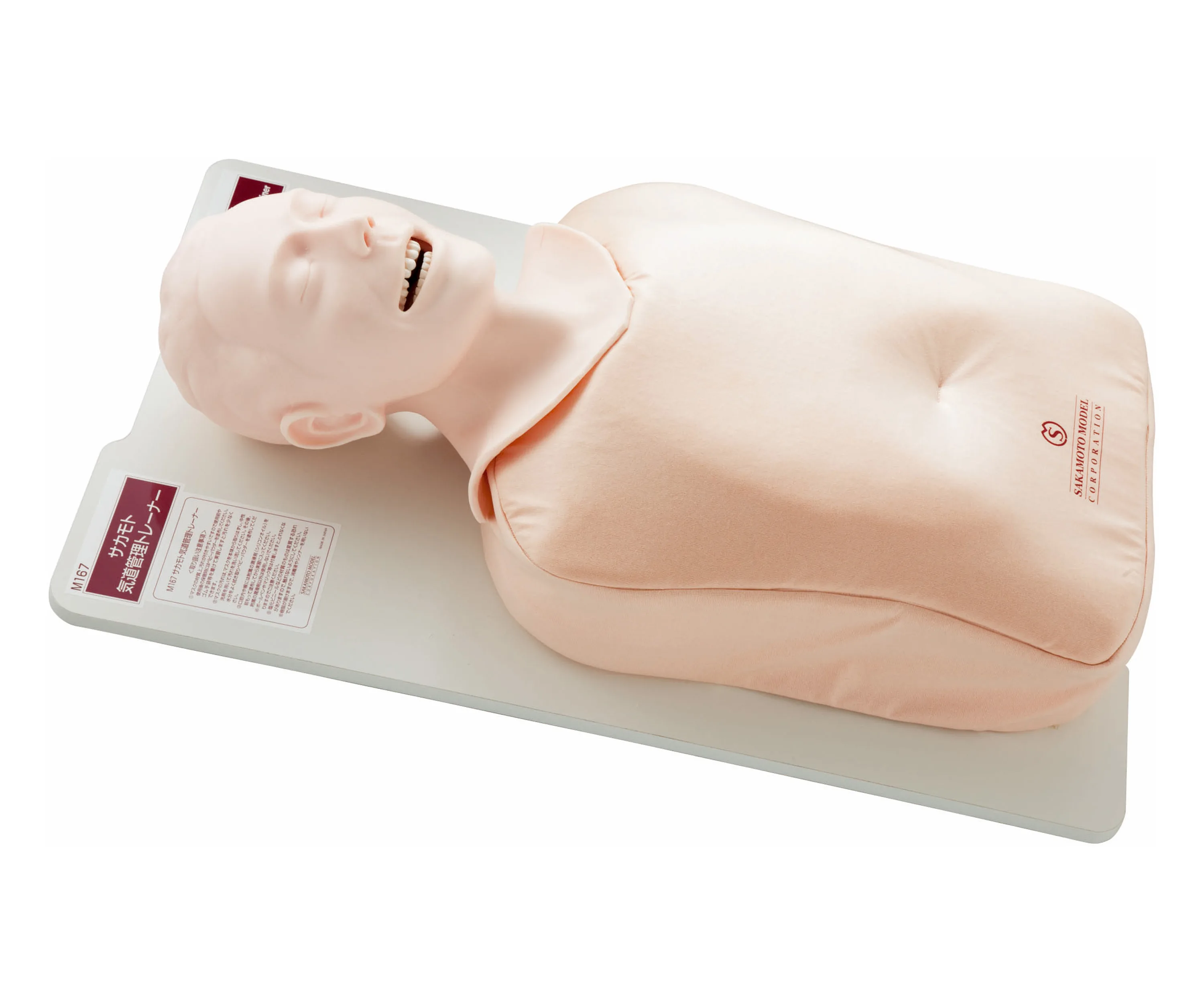 Airway Management Trainer, Light