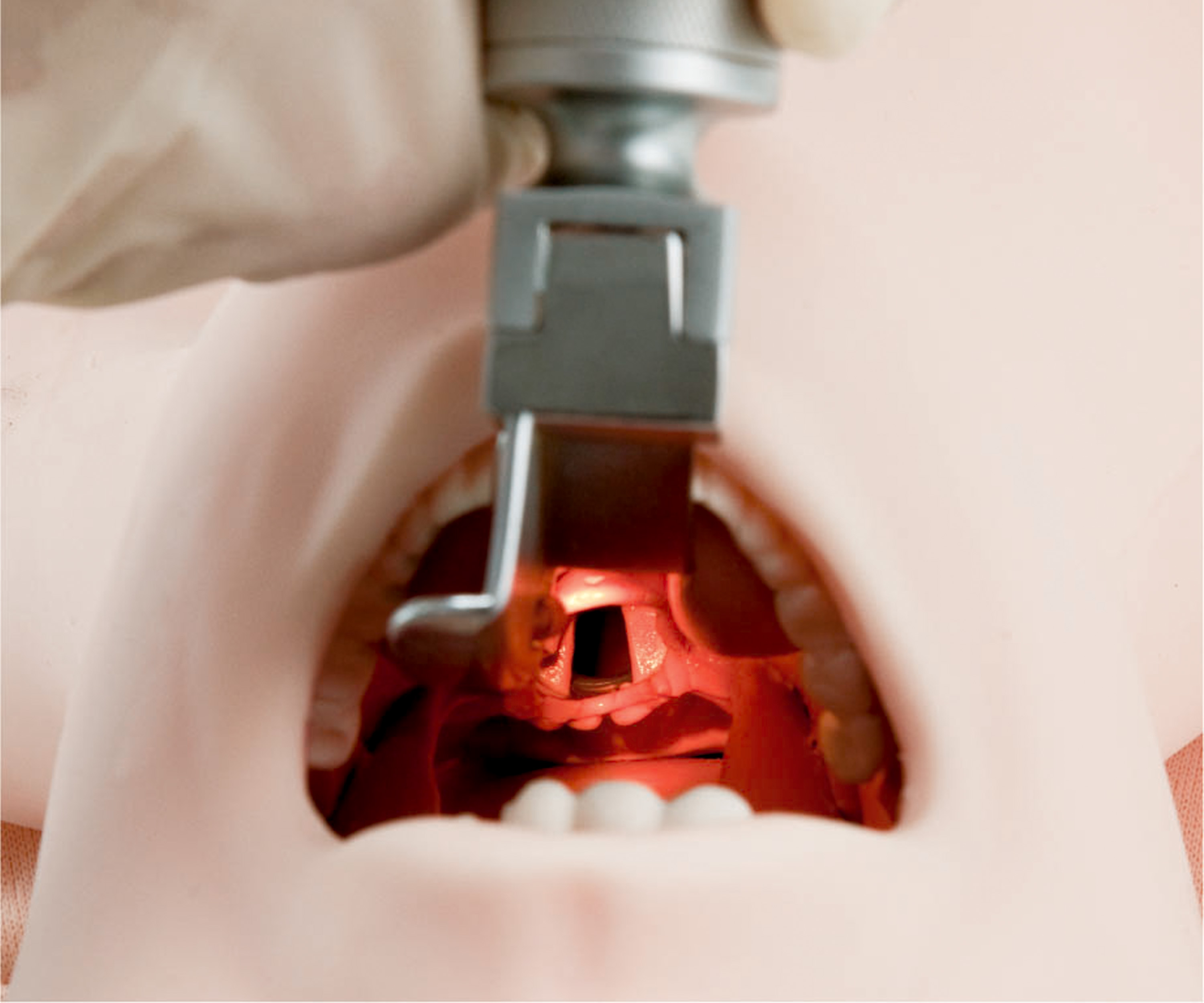 Airway Management Trainer, Light