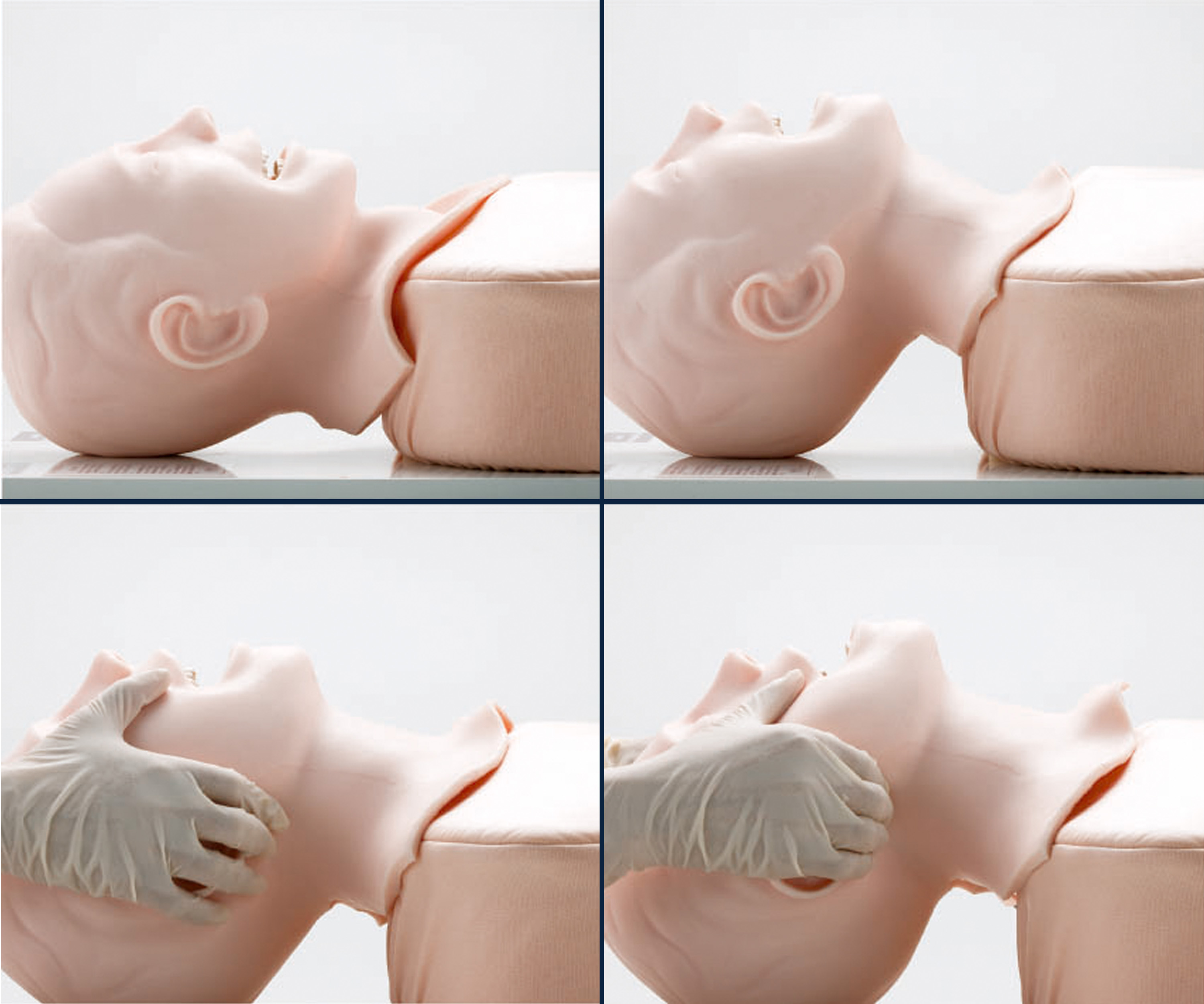 Airway Management Trainer, Light