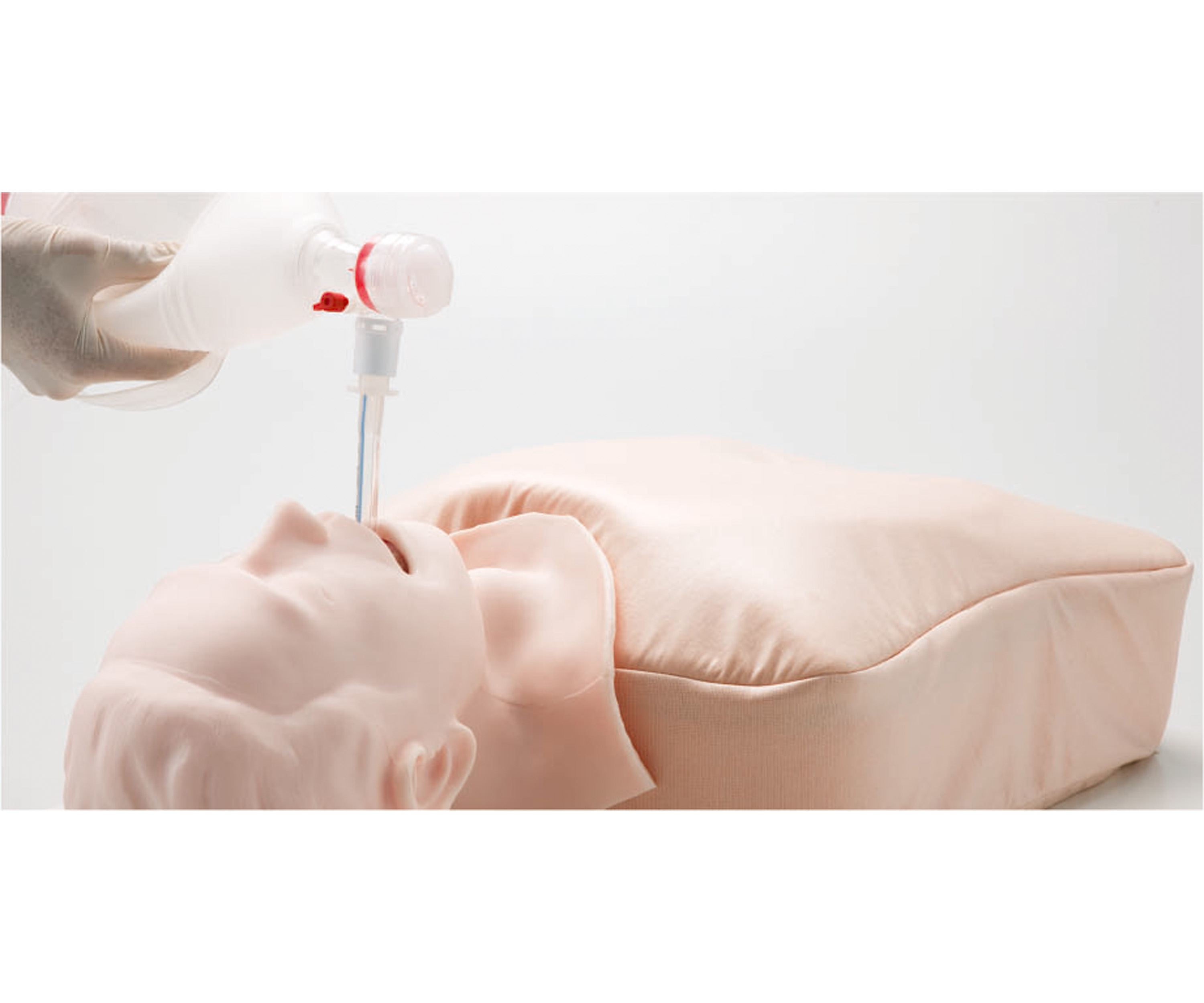 Airway Management Trainer, Light
